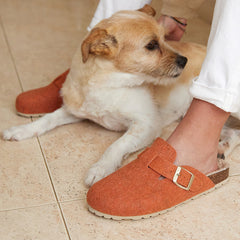 Imagen del producto Zueco Naranja Mujer