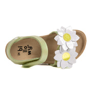 Imagen del producto Sandalia Verde Niña