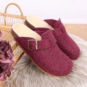 Imagen del producto Zueco Rojo Mujer